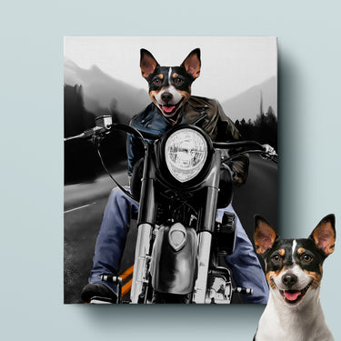 Motorcycle Rider